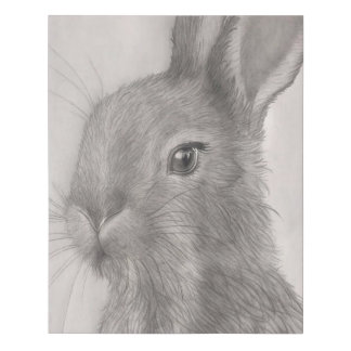 Rabbit Art Canvas Prints
