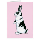 Rabbit:  Black and White (Front)