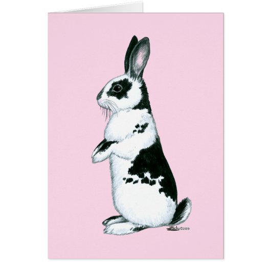 Rabbit: Black and White (Front)
