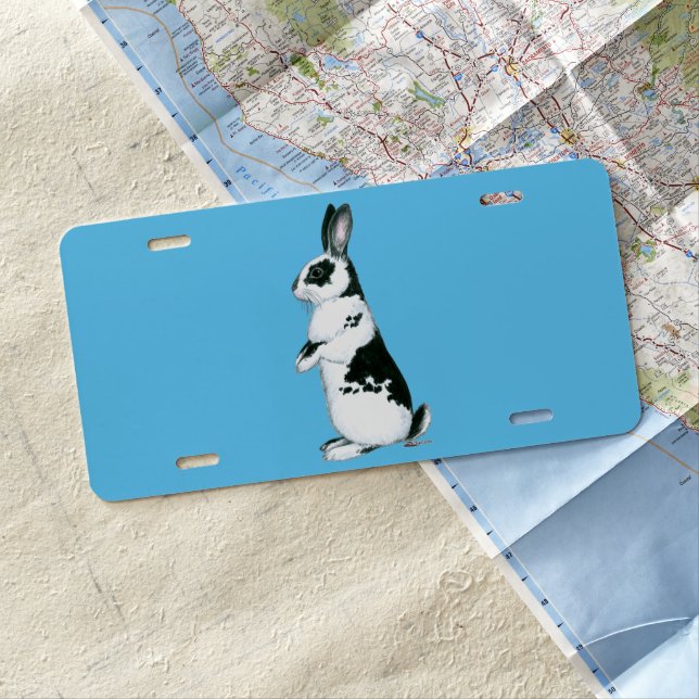 Rabbit:  Black and White License Plate (In Situ)