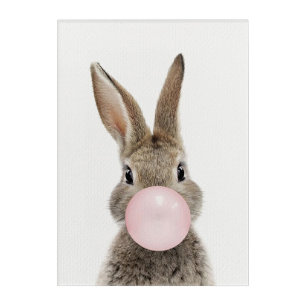 Rabbit Blowing Pink Bubble gum  Acrylic Print