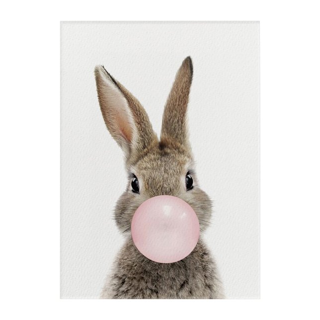 Rabbit Blowing Pink Bubble gum  Acrylic Print (Front)