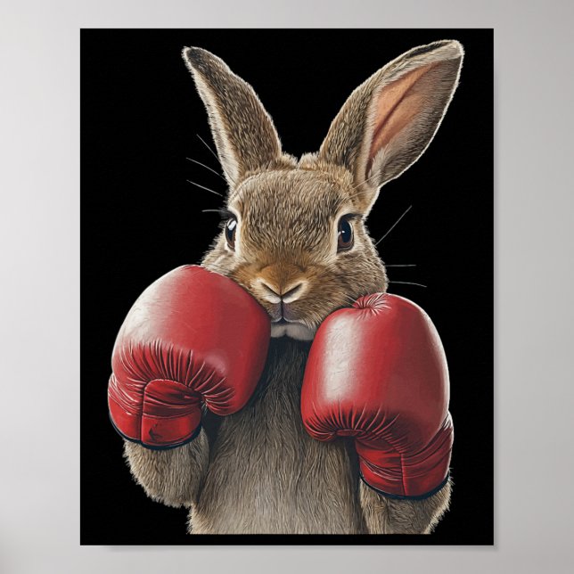 Rabbit Boxing  Poster (Front)