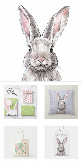 Rabbit / Bunnies