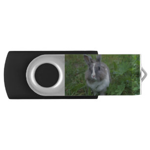 Rabbit bunny flash drive