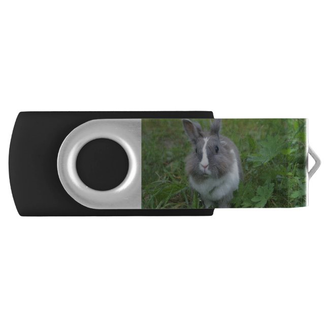 Rabbit bunny flash drive (Front)