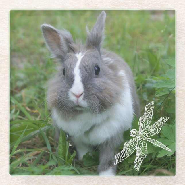 Rabbit bunny glass coaster (Front)