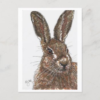 Rabbit Bunny Hare Postcard by GailRagsdaleArt at Zazzle