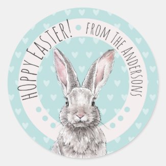 Rabbit Bunny Hoppy Easter Cute Spring Animal art Classic Round Sticker