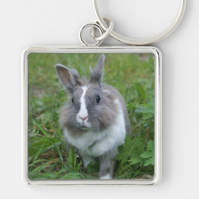 Rabbit bunny keychain (Front)