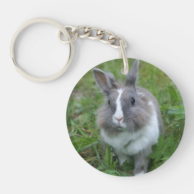 Rabbit bunny keychain (Front)