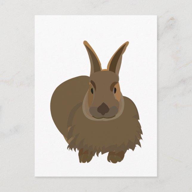 Rabbit Bunny  Postcard (Front)