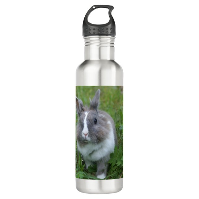 Rabbit bunny stainless steel water bottle (Front)