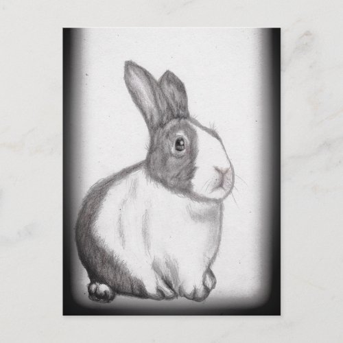 Rabbit Bunny White Fluffy Tail Long Ears  Postcard