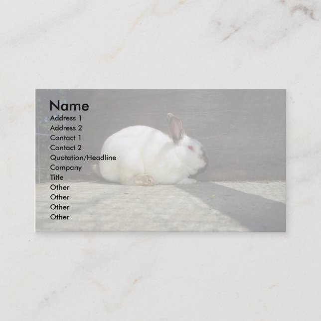 Rabbit Business Card (Front)