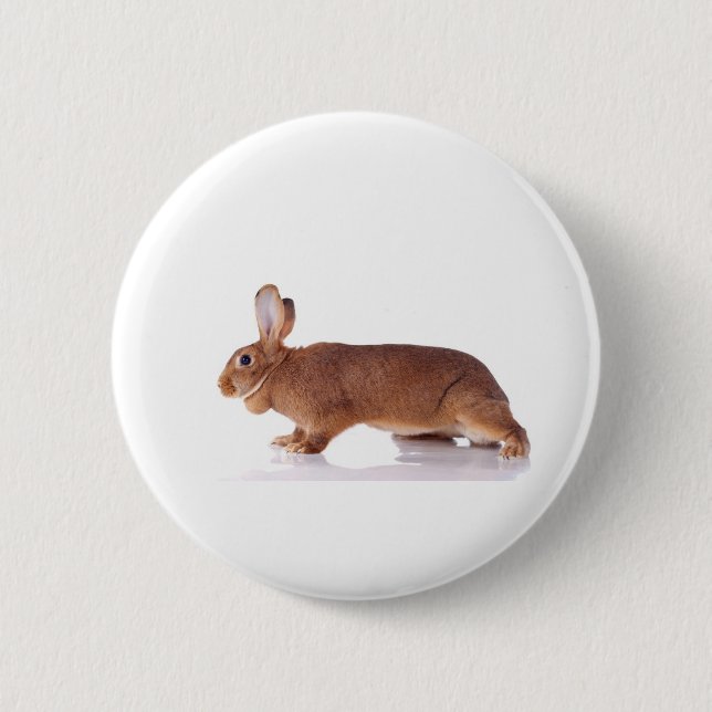 rabbit button (Front)