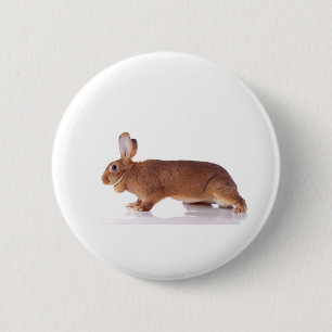 rabbit button