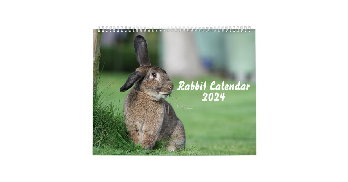 Rabbit Calendar 2024 Zazzle