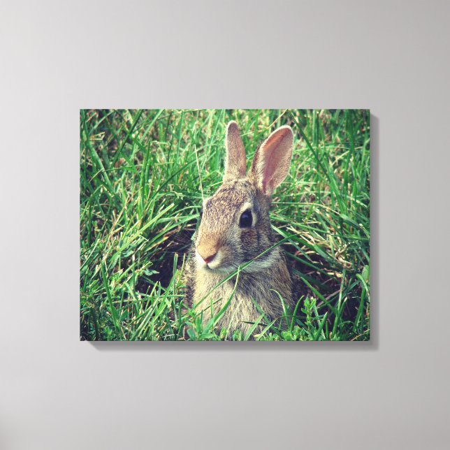 Rabbit Canvas Print (Front)