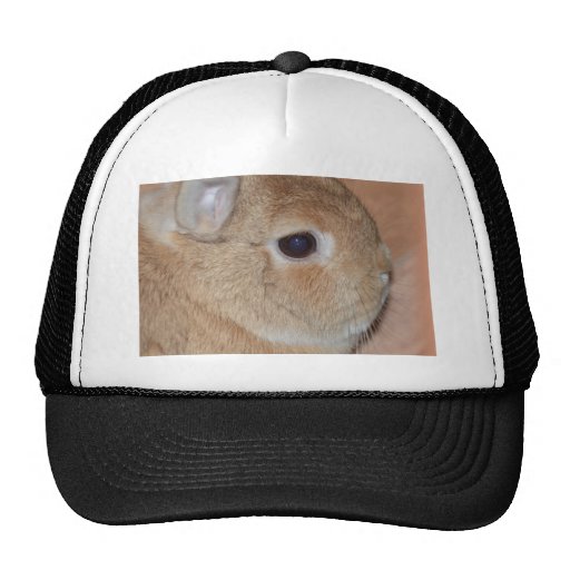 Rabbit Cap | Zazzle