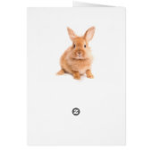 Rabbit Cards (Back)