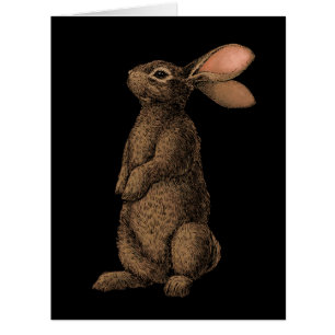 Rabbit Cards