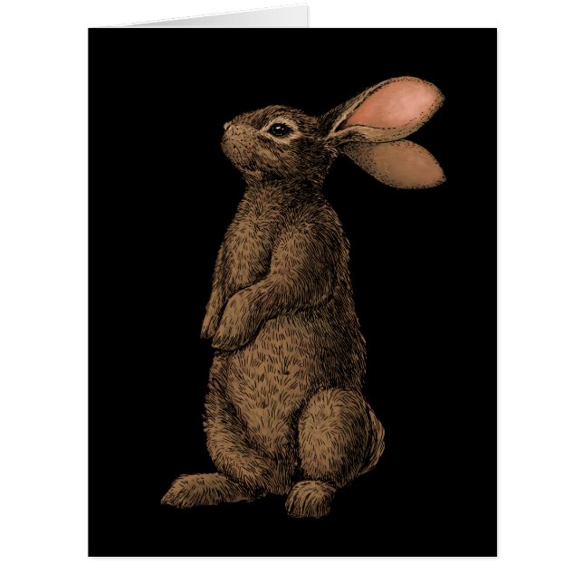 Rabbit Cards (Front)