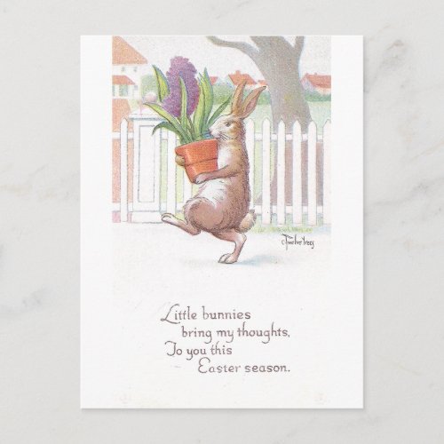 Rabbit Carrying Potted Purple Hyacinth Postcard