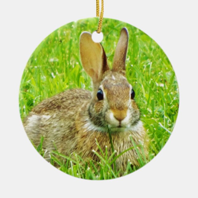 rabbit ceramic ornament (Front)