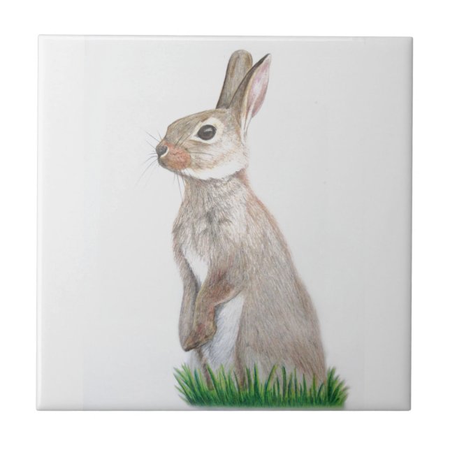 Rabbit Ceramic Tile (Front)