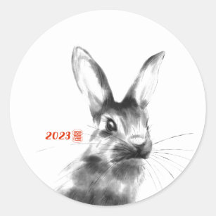 Warrior of the Rabbit Usagi  Sticker for Sale by DoodlHappyDavis