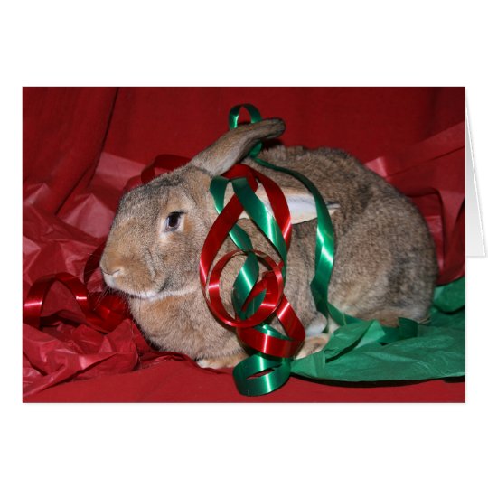 Rabbit Christmas Card