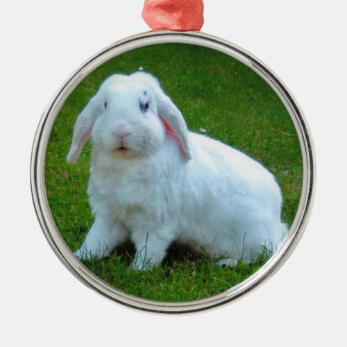 rabbit christmas ornament