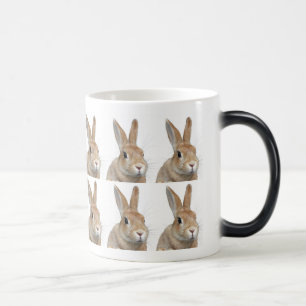 Rabbit Color Morph Mug
