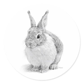 Rabbit Day Classic Round Sticker
