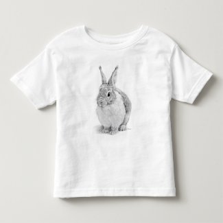 Rabbit Day Pencil Drawing