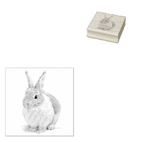 Rabbit Day