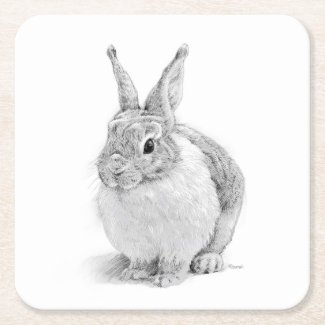 Rabbit Day
