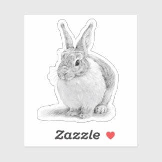 Rabbit Day