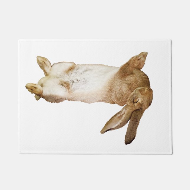 rabbit door mat (Front)