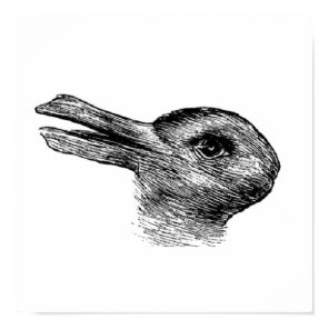 rabbit duck illusion poster