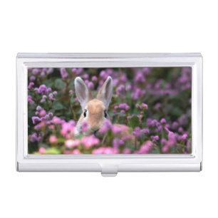 Rabbit farm business card case