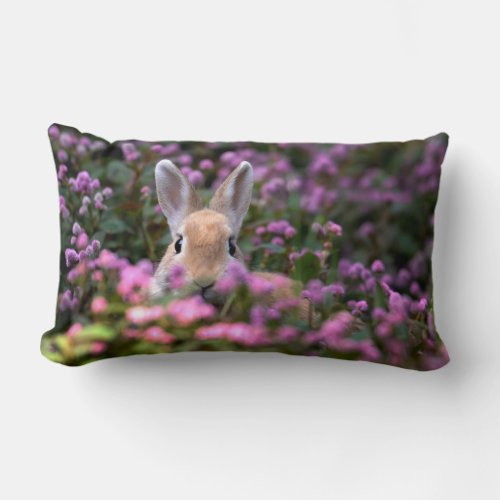 Rabbit farm lumbar pillow