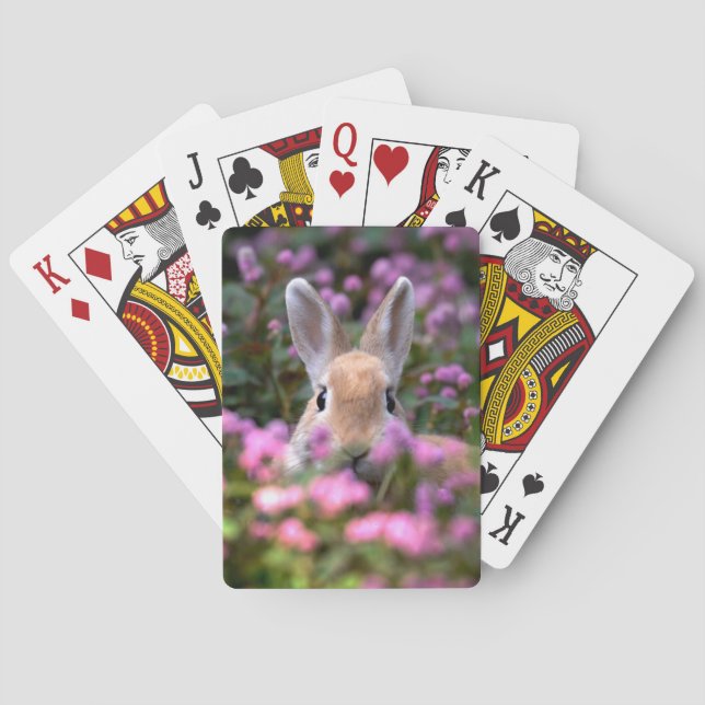 Rabbit farm poker cards (Back)
