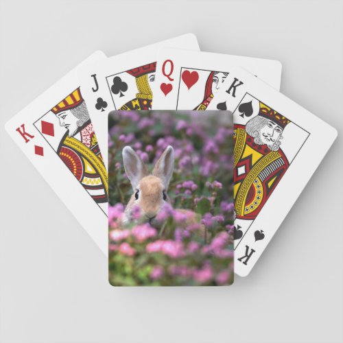 Rabbit farm poker cards