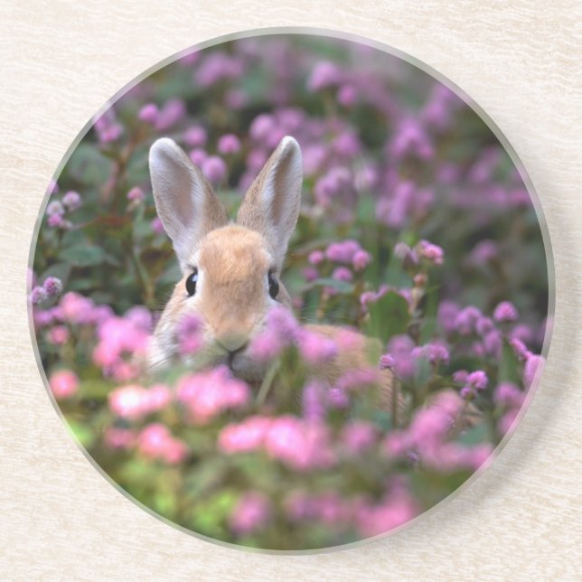 Rabbit farm sandstone coaster (Front)