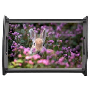 Rabbit farm serving tray
