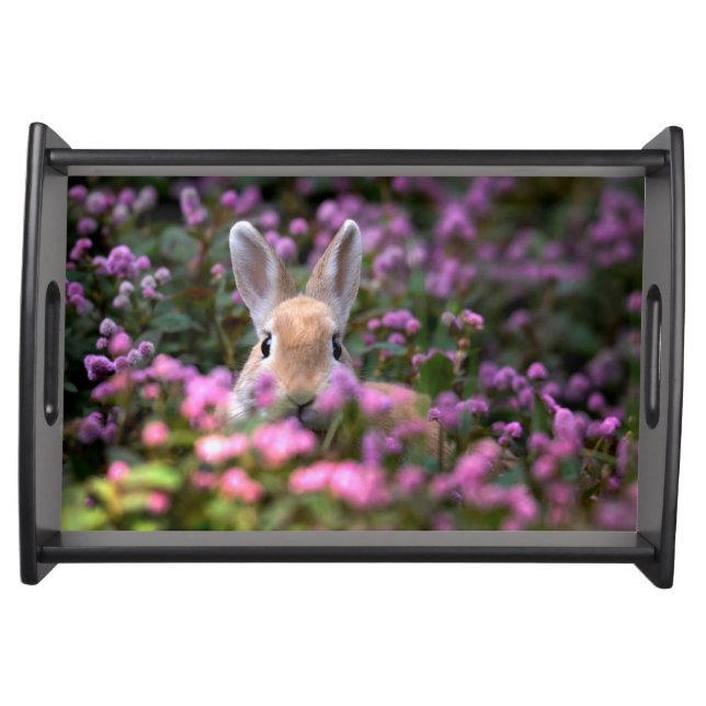 Rabbit farm serving tray (Front)