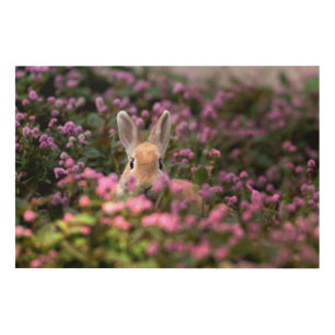 Rabbit farm wood wall art