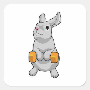 Rabbit Fitness Dumbbell Square Sticker